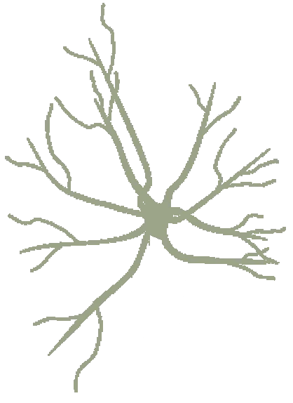 aXon Clinical Psychology & Neuroscience